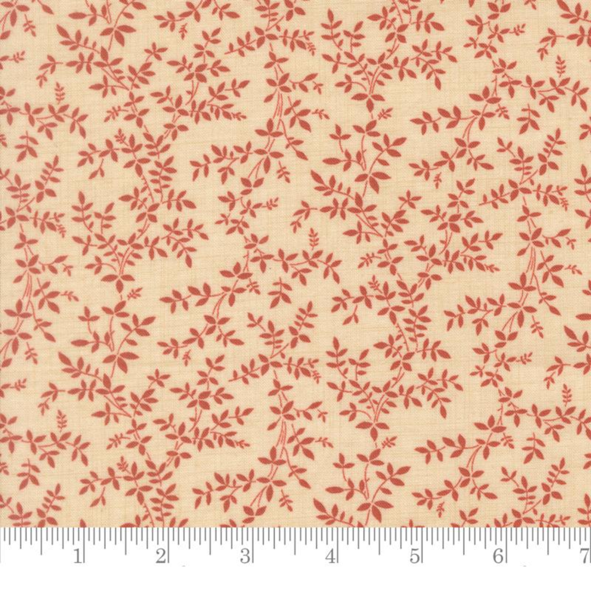 Petite Vigne — Parchment