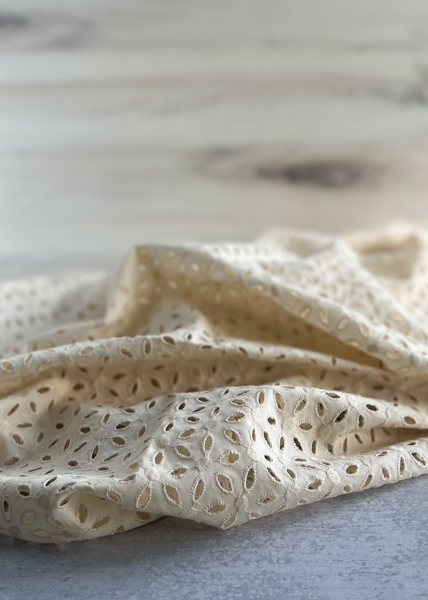 Embroidered Natural Woven Eyelet Fabric