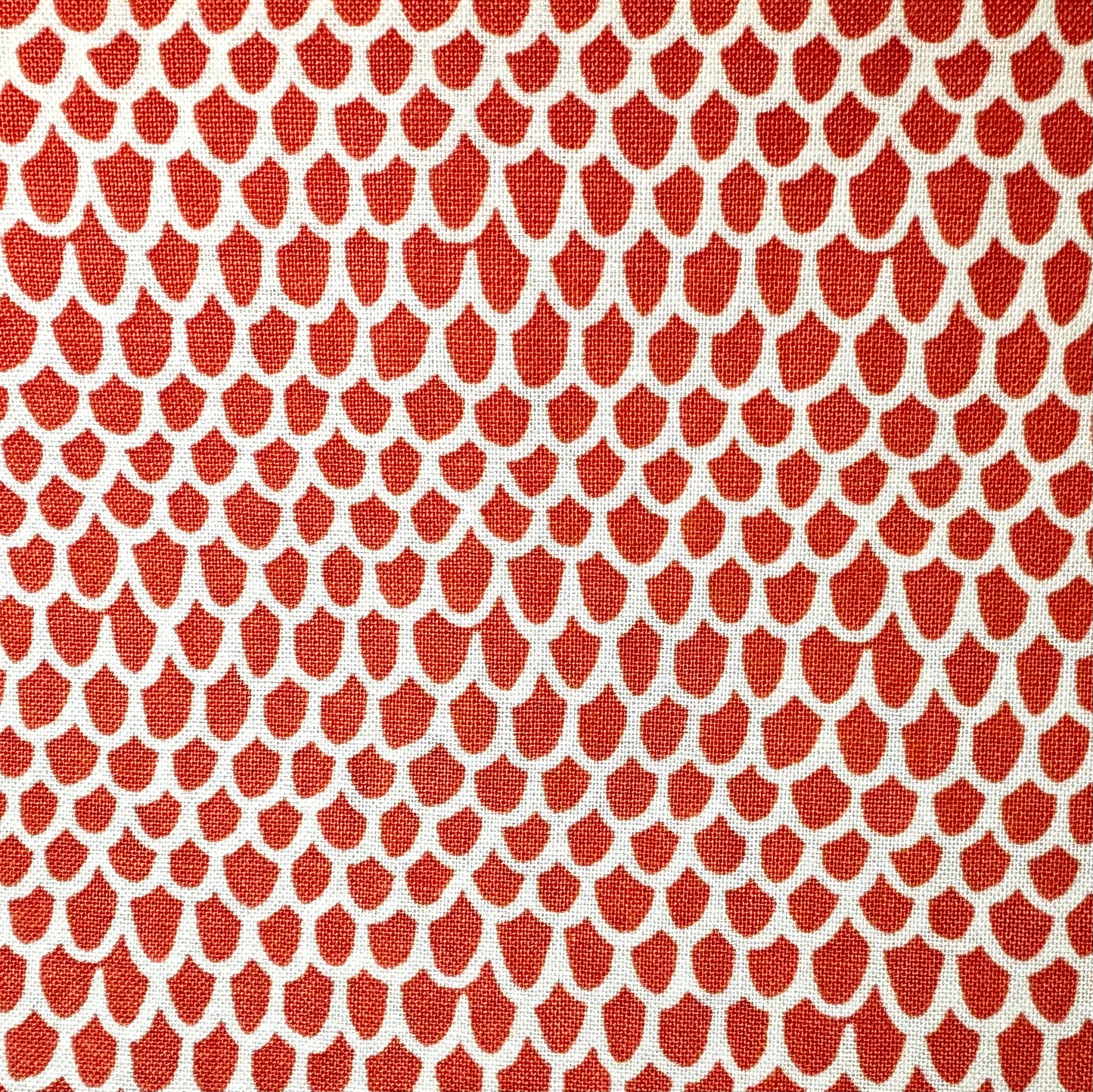 Stella Orange -