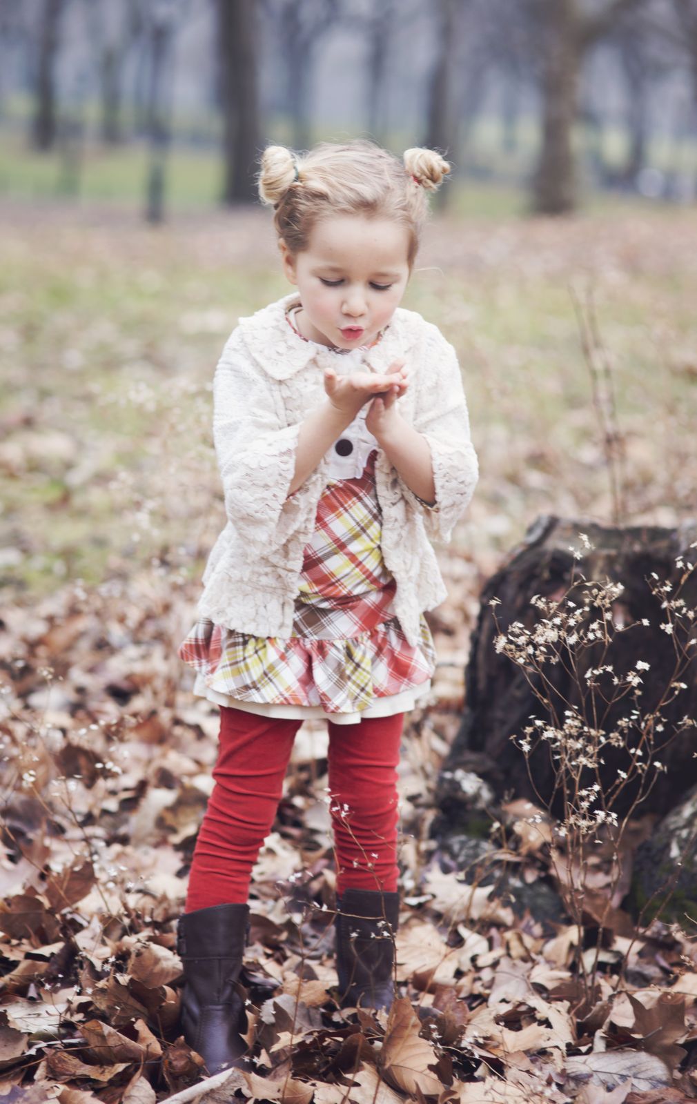 Knit - Persnickety Tartan Plaid - Brown