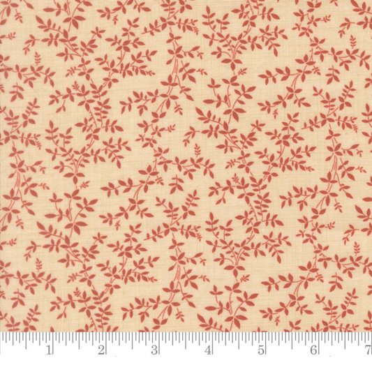 Petite Vigne — Parchment