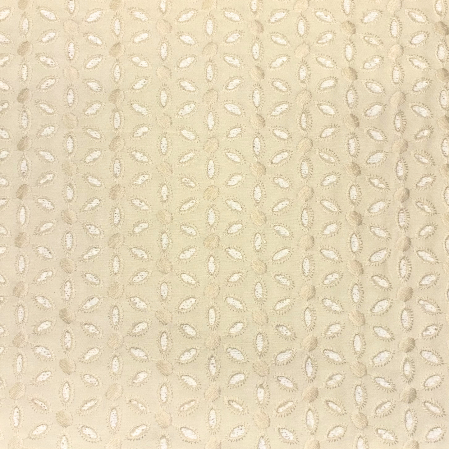 Embroidered Natural Woven Eyelet Fabric