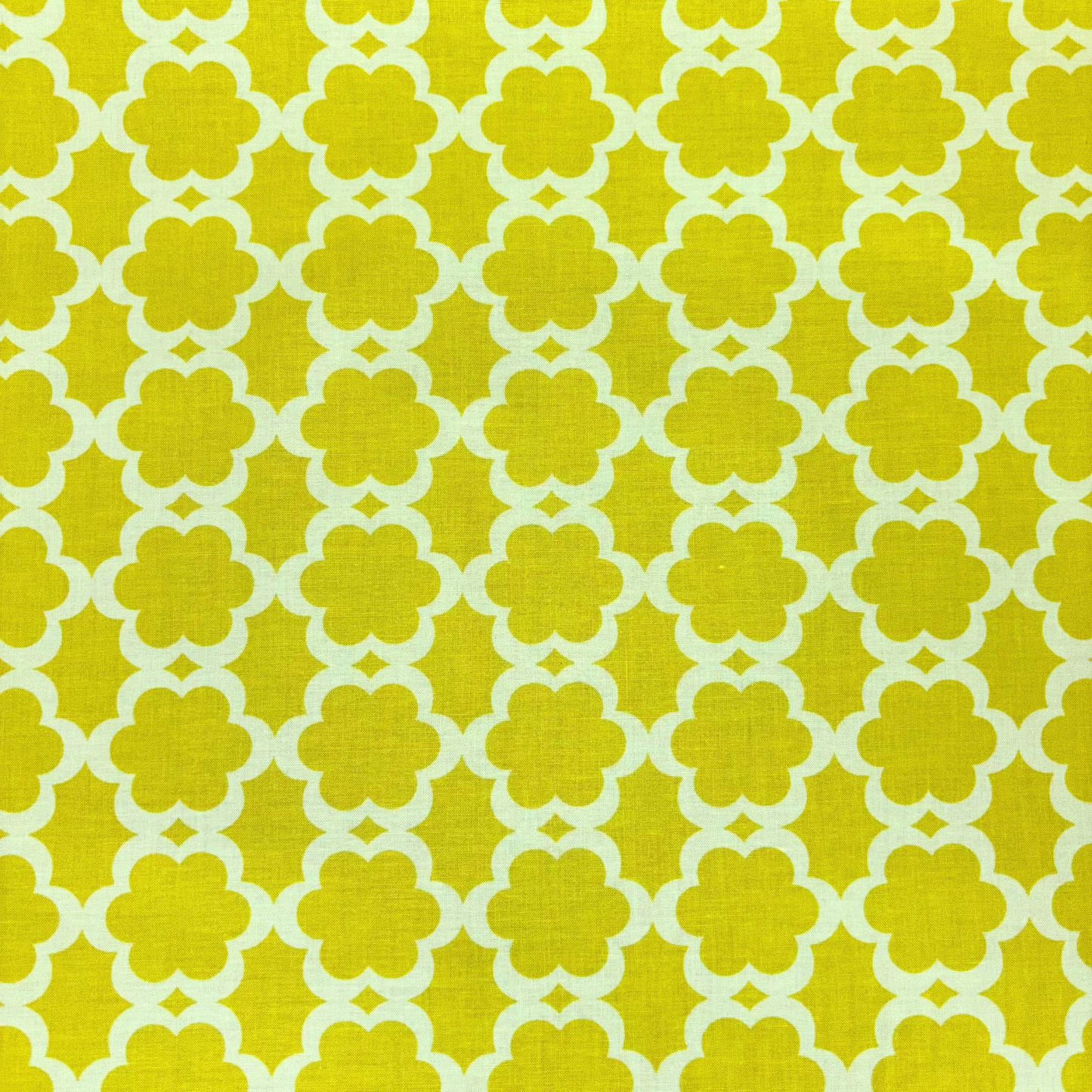 Chartreuse Mod Scallop