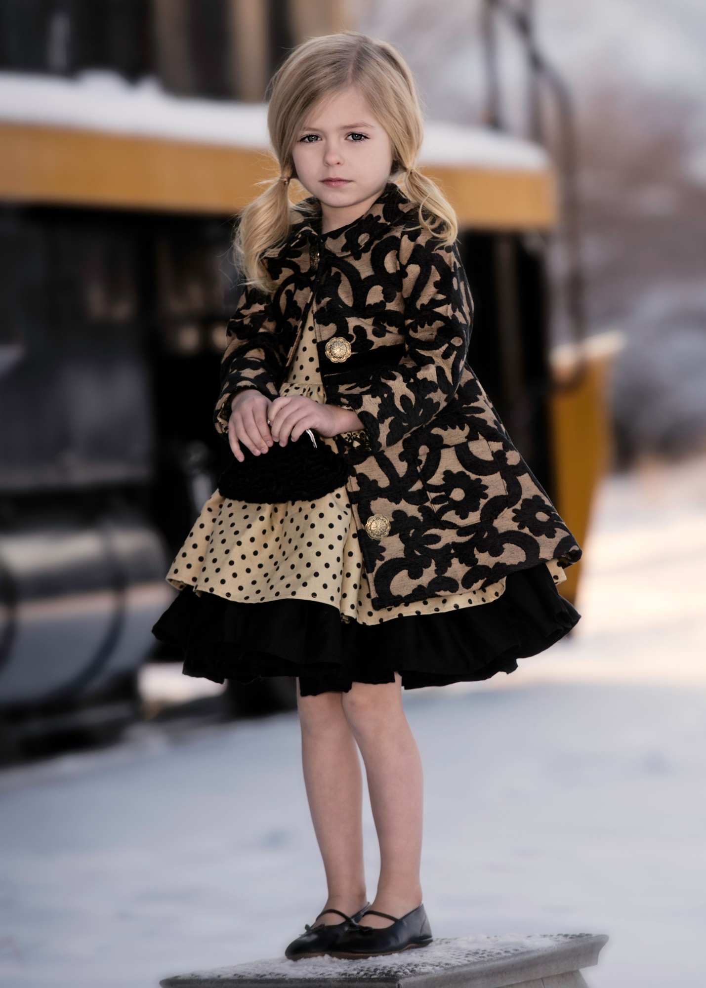 Black & Soft Gold Floral Upholstery Fabric
