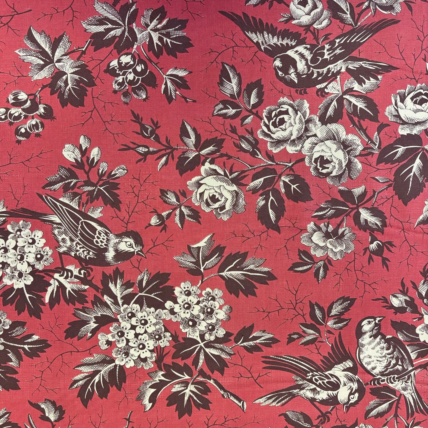 Red Toile Floral