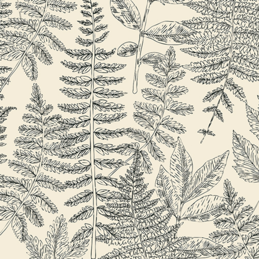 Dancing Fern