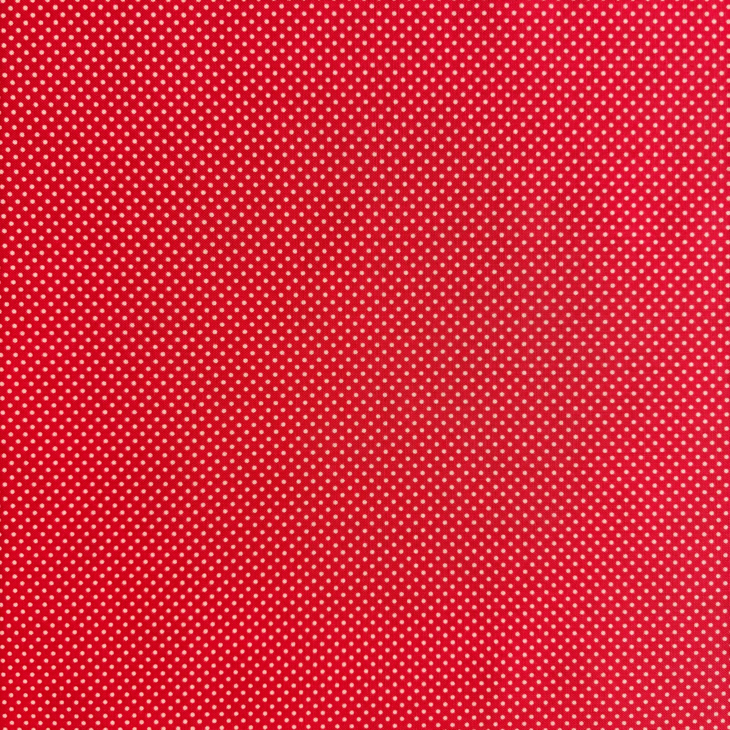 Red and White Small Polka dot