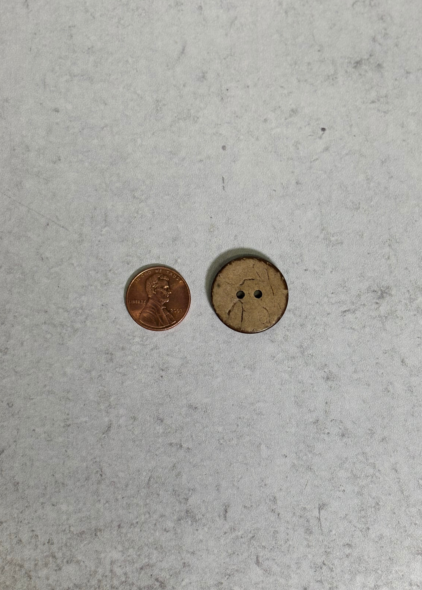 Large Coconut Button