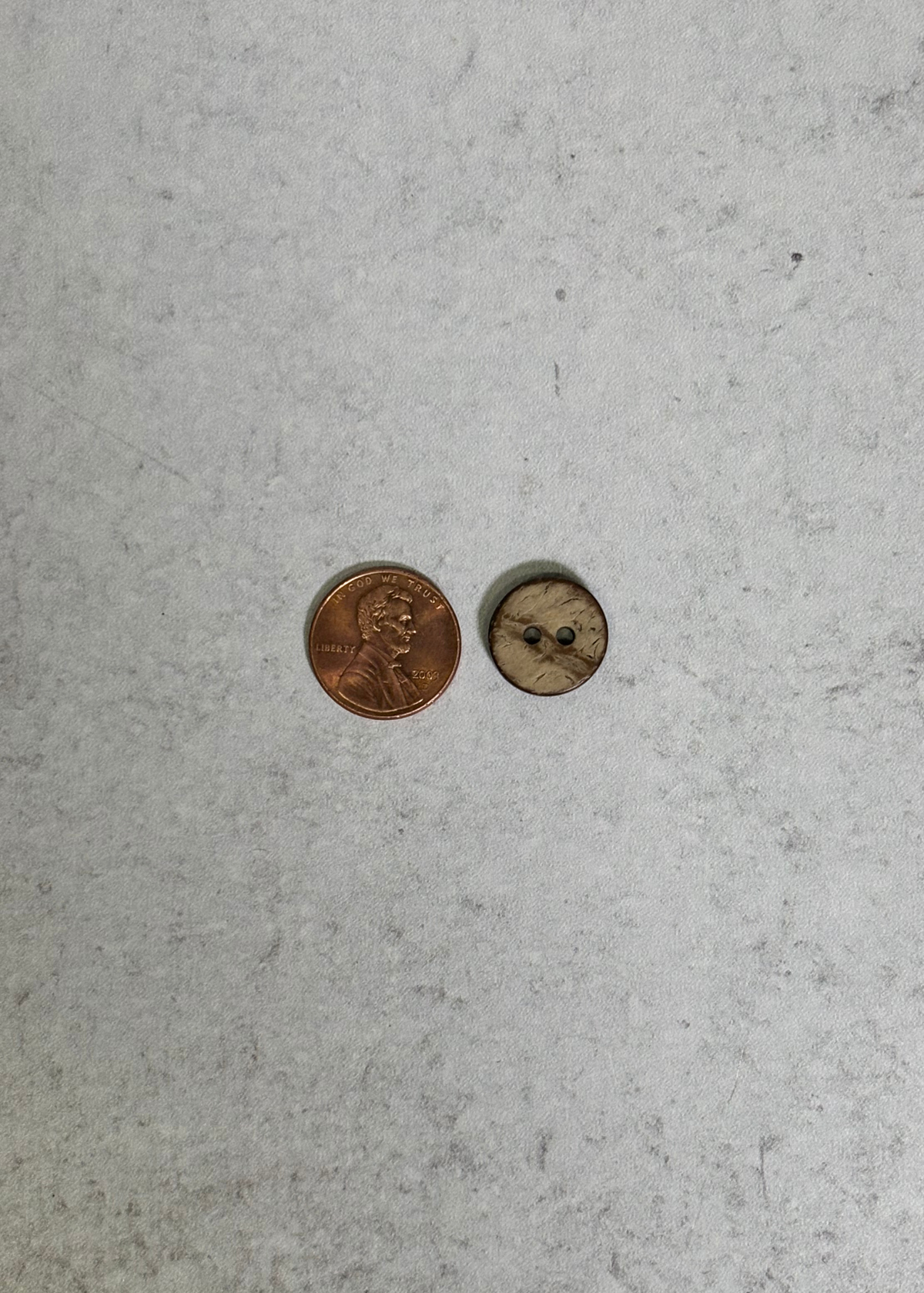 Small Coconut Button