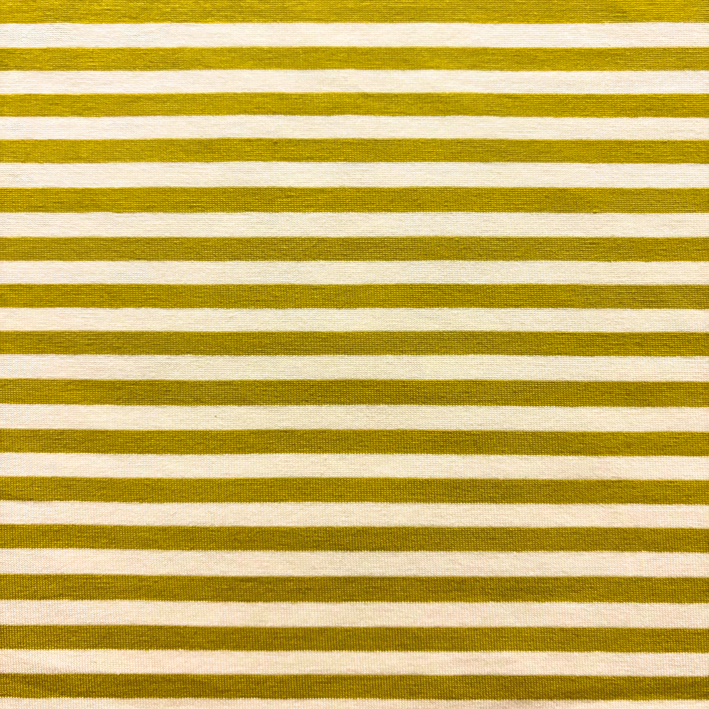 Citrine Stripe Jersey Knit